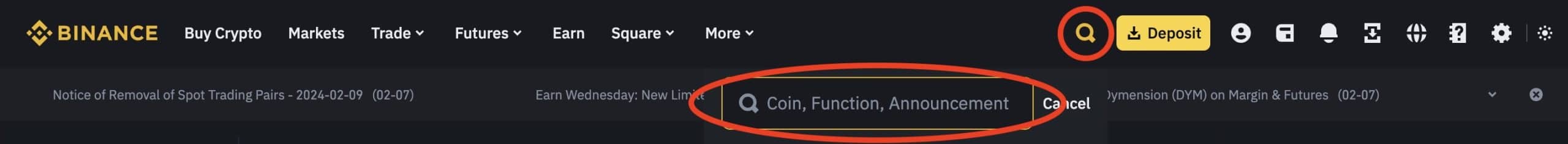 Binance Search Function