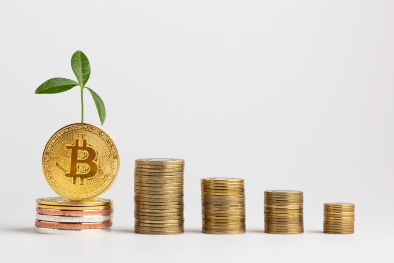 Best Green Crypto to Invest In: Greenest Coins in 2024